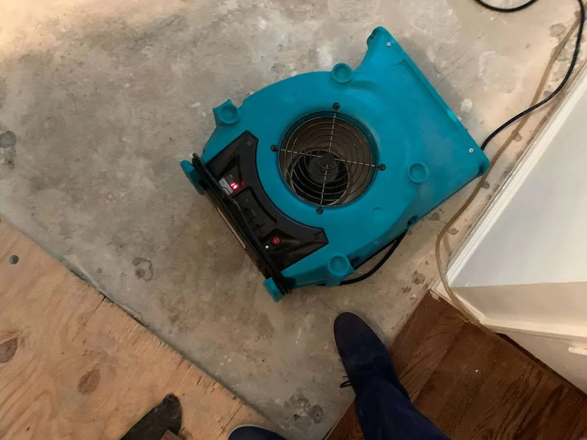 Air mover drying subfloor during Leak Detection & Repair in Wildewood